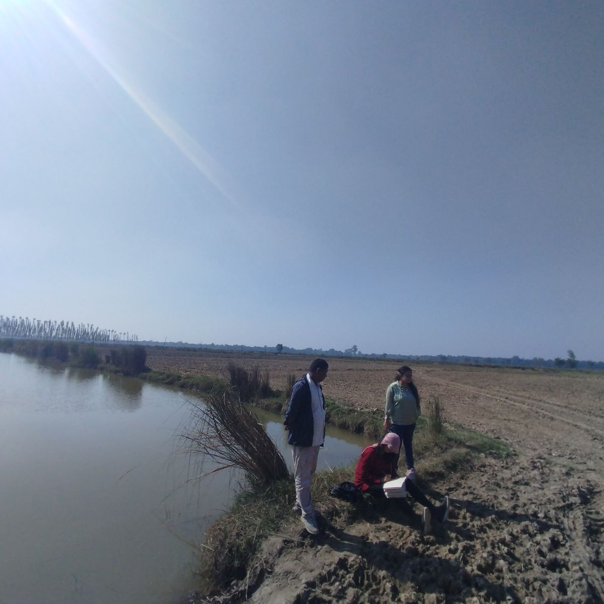 Second Image